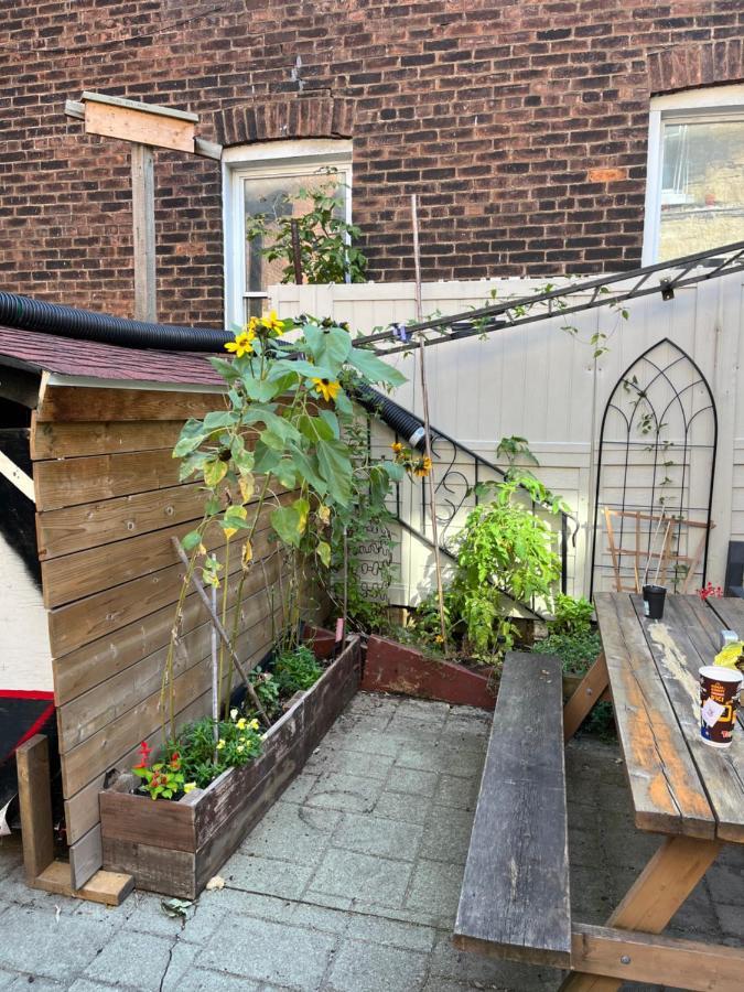 Pring Guesthouse Hamilton Exterior foto